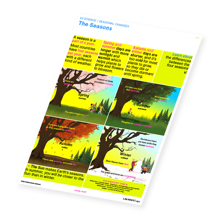 L1 Science Seasonal Changes – The Seasons by Learnest.xyz