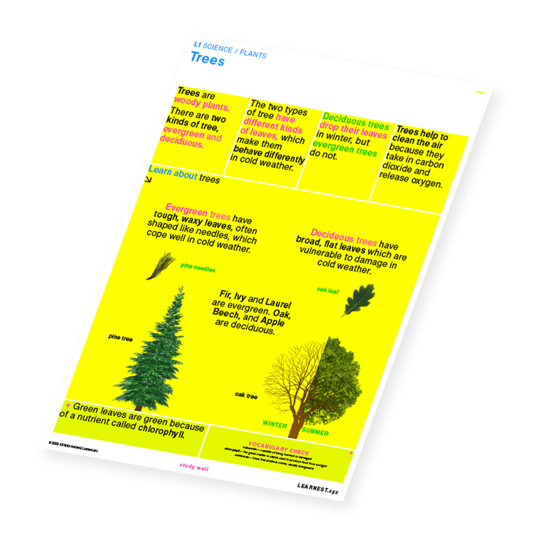 L1 Science Plants – Trees study material by Learnest.xyz