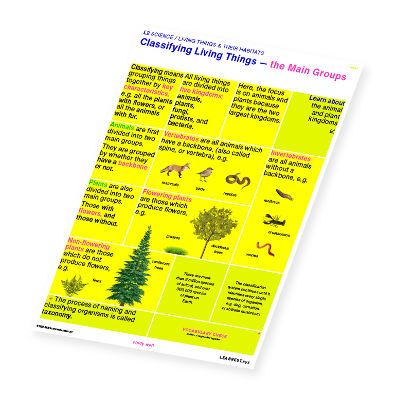 L2 Science Classifying Living Things – The Main Groups