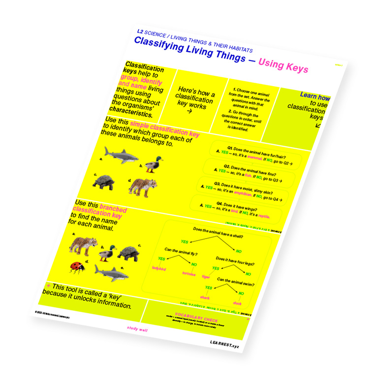 L2 Science Classifying Living Things – Using Keys