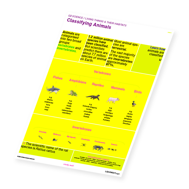 L3 Science – Classifying Animals