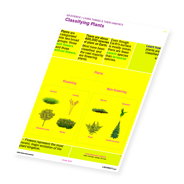 L3 Science – Classifying Plants