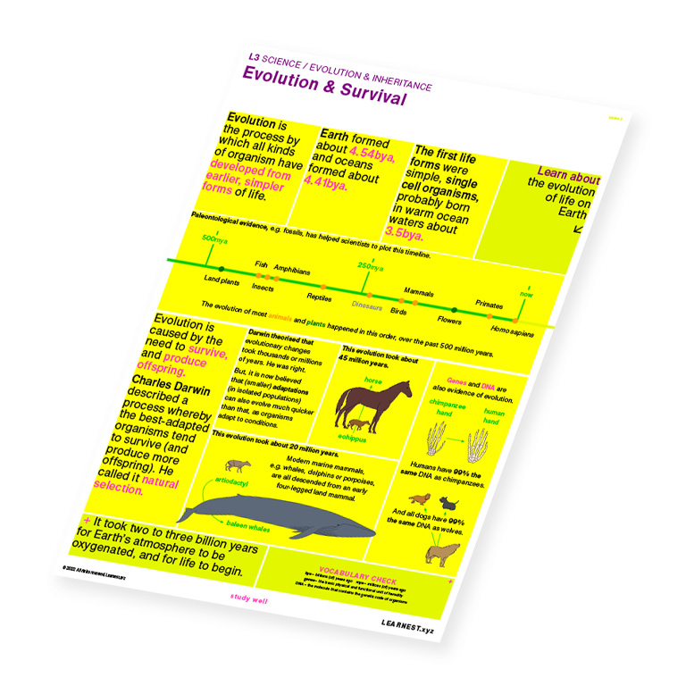 L3 Science – Evolution & Survival