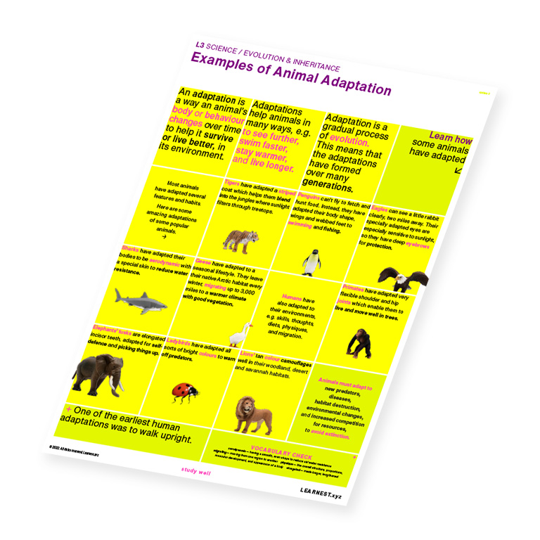 L3 Science – Examples of Animal Adaptation