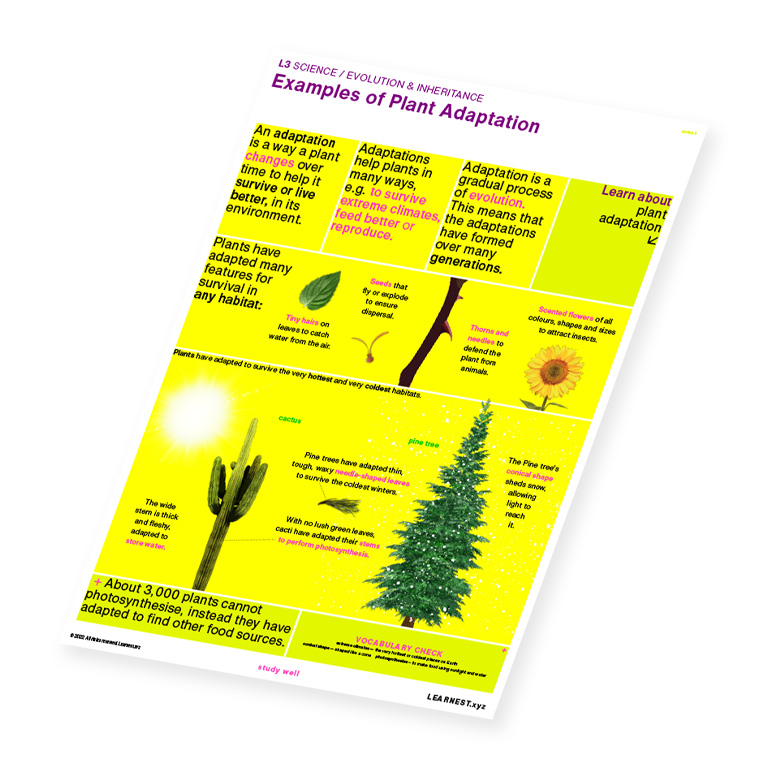 L3 Science – Examples of Plant Adaptation