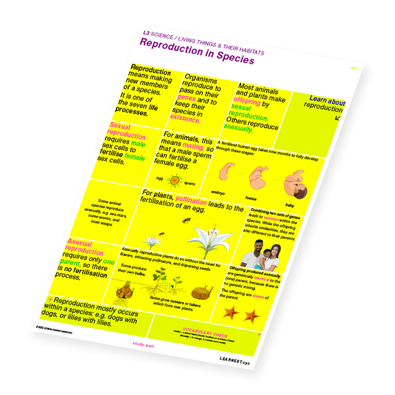 L3 Science – Reproduction in Species