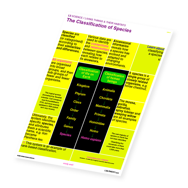 L3 Science – The Classification of Species