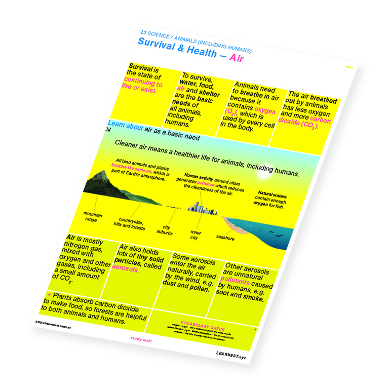 L1 Science Survival & Health – Air by Learnest.xyz