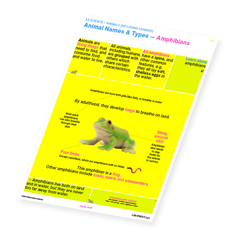 L1 Science Animal Names & Types – Amphibians by Learnest.xyz