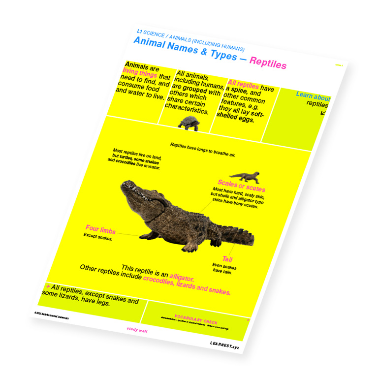 L1 Science Animal Names & Types – Reptiles by Learnest.xyz