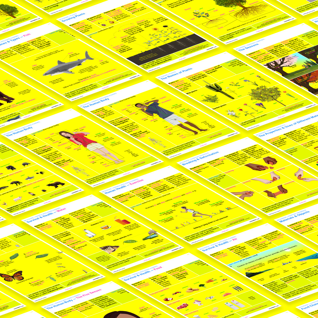 L1 Science study materials by Learnest.xyz