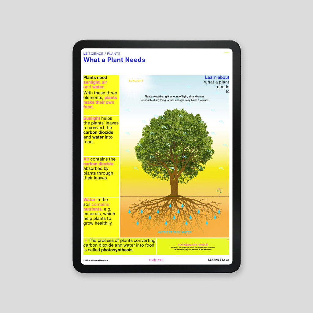 Primary science study materials on mobile tablet