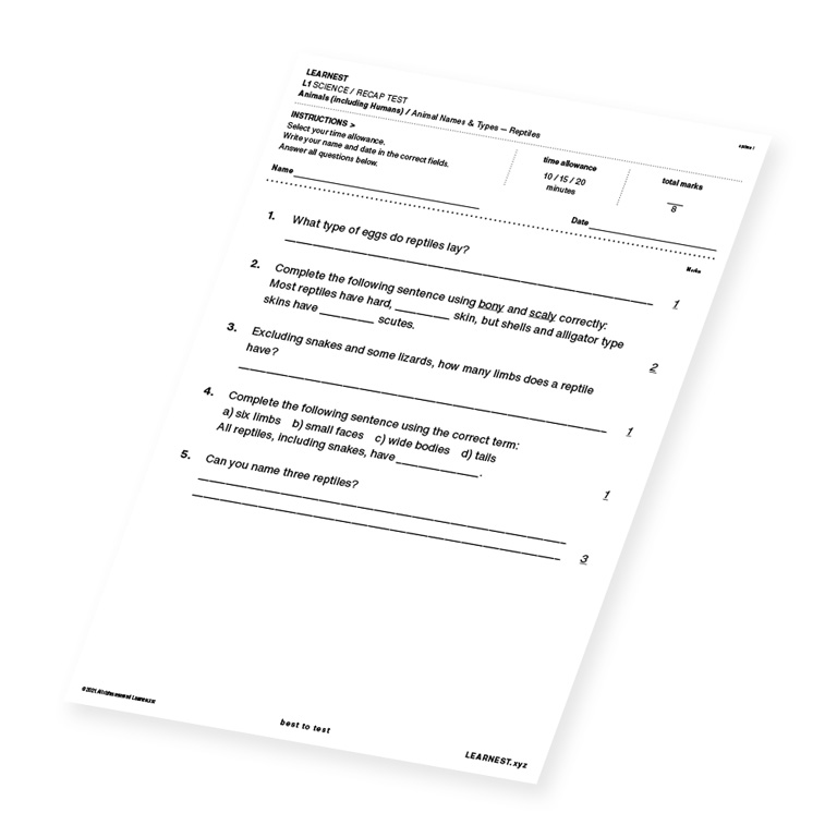 L1 Science Recap test material for Animal Names & Types – Reptiles