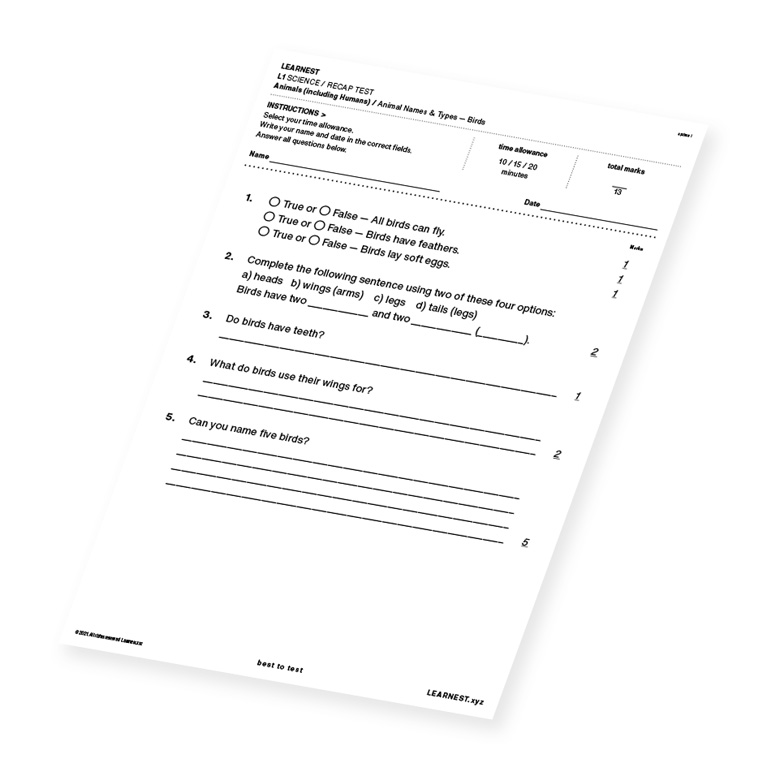 L1 Science Recap test material for Animal Names & Types – Birds