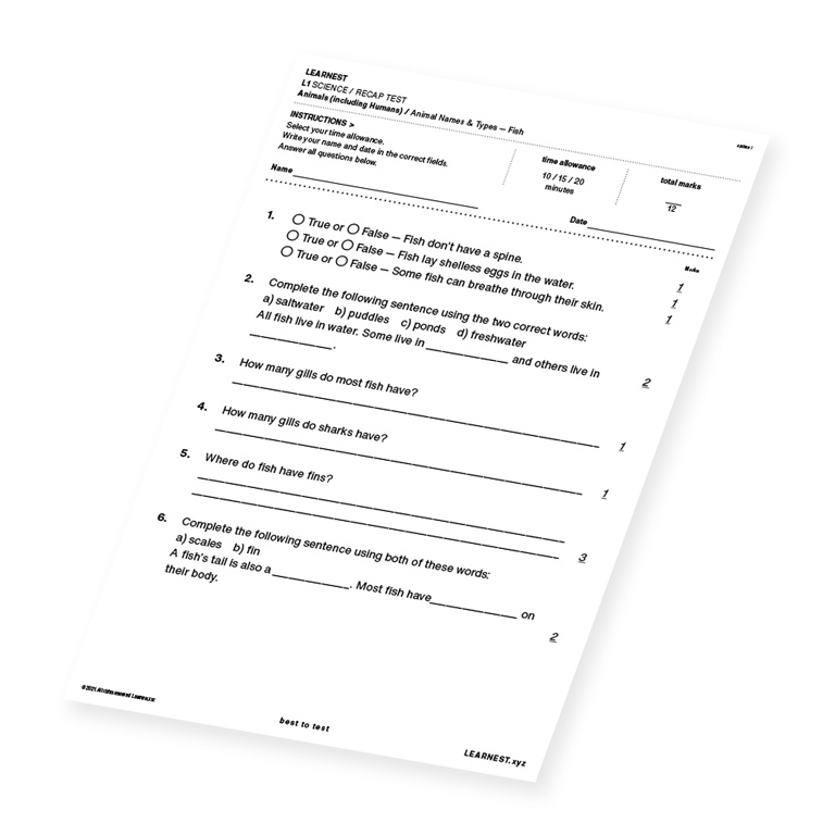 L1 Science Recap test material for Animal Names & Types – Fish