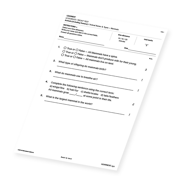 L1 Science Recap test material for Animal Names & Types – Mammals