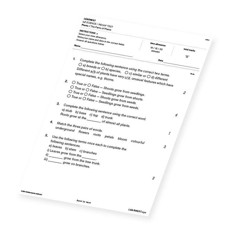 L2 Science Recap Test The Parts of Plants