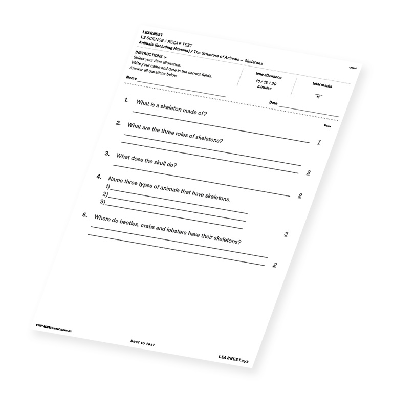L2 Science Recap Test The Structure of Animals – Skeletons