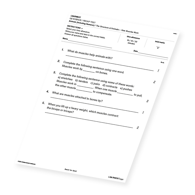 L2 Science Recap Test The structure of Animals – How Muscles Work