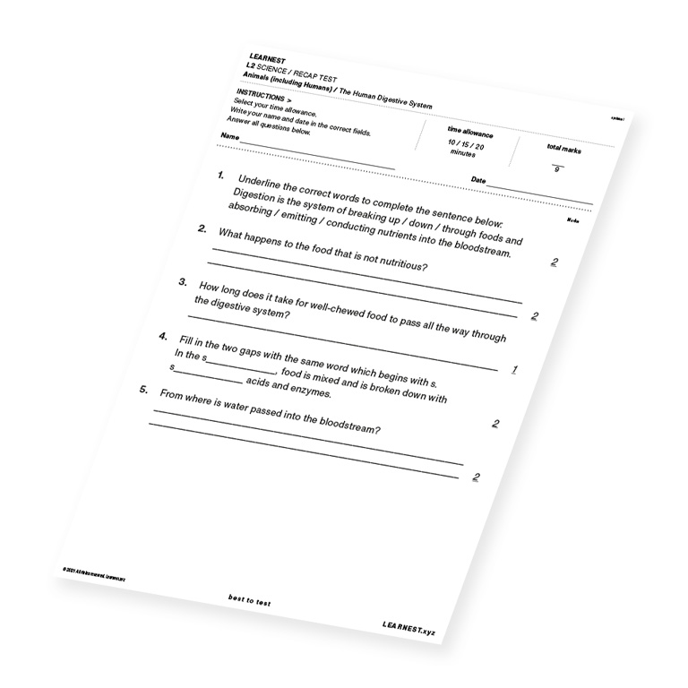L2 Science Recap Test The Human Digestive System