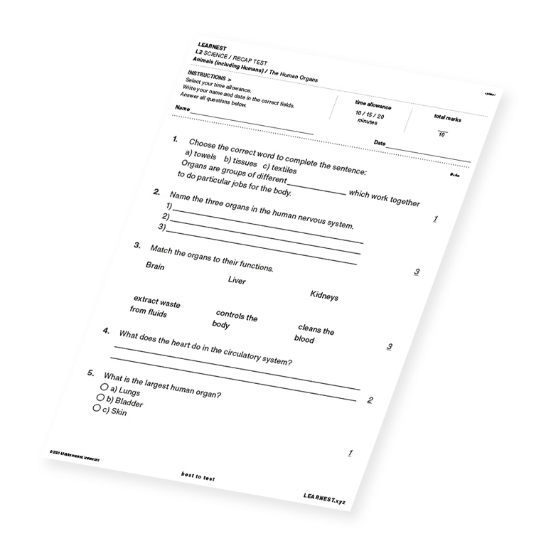 L2 Science Recap Test The Human Organs
