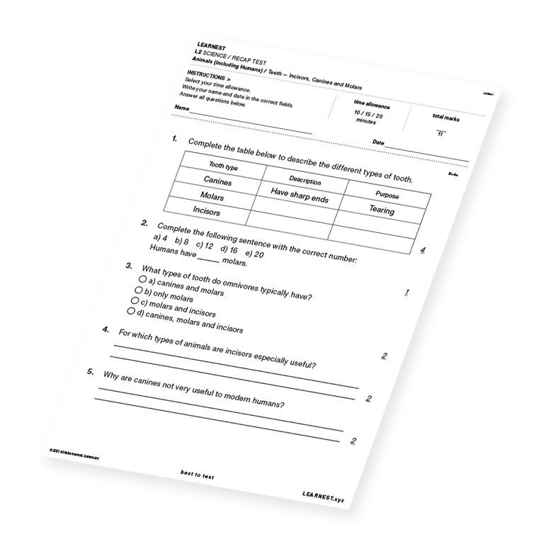 L2 Science Recap Test Teeth – Incisors, Canines and Molars