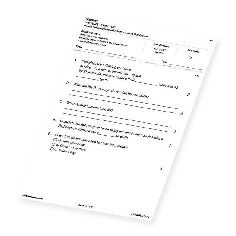 L2 Science Recap Test Teeth – Human Oral Hygiene