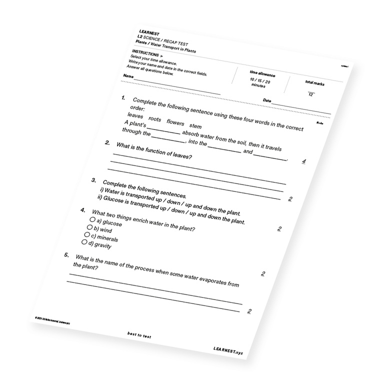 L2 Science Recap Test – Water Transport in Plants