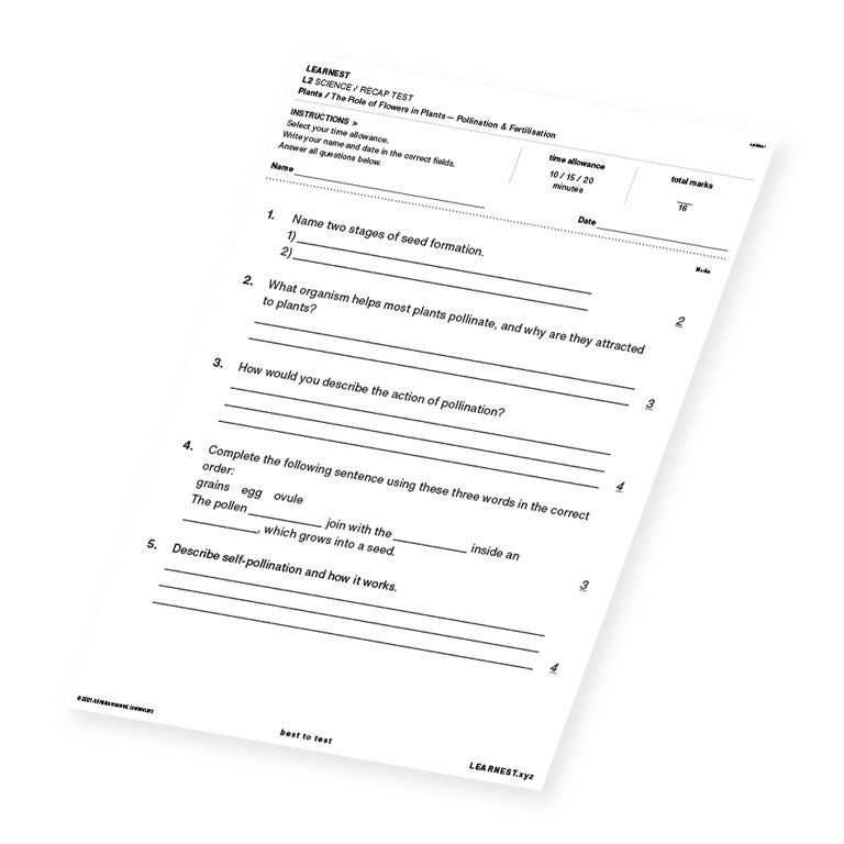 L2 Science Recap Test The roles of Flowers in Plants – Pollination & Fertilisation