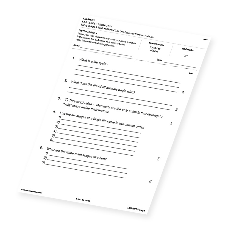 L3 Science Recap Test – The Life Cycles of Different Animals