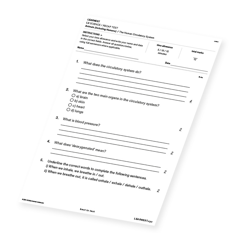 L3 Science Recap Test – The Human Circulatory System