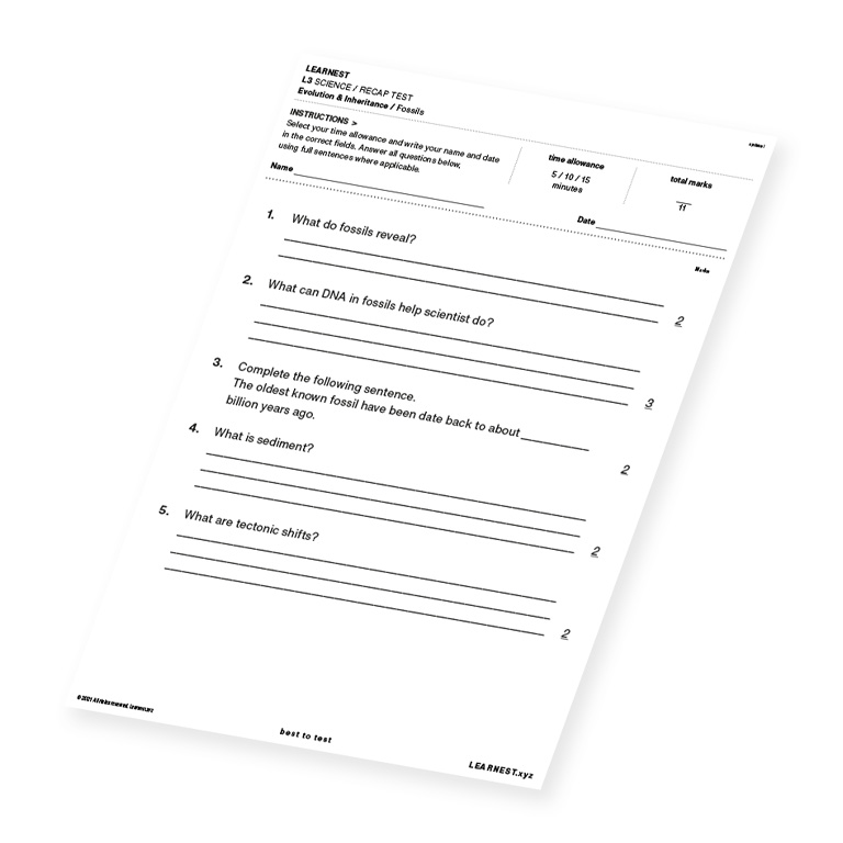 L3 Science Recap Test – Fossils