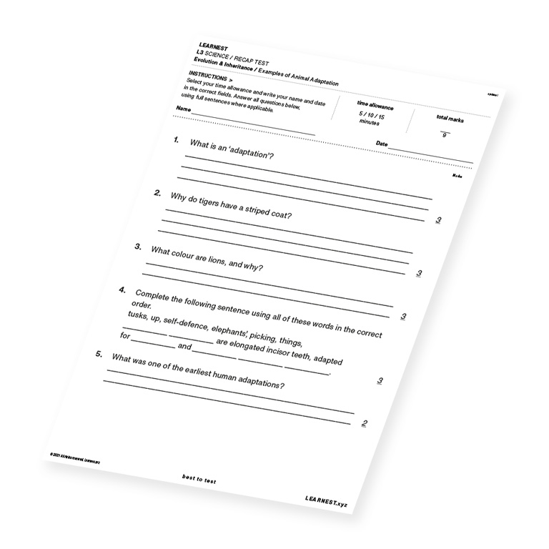 L3 Science Recap Test – Examples of Animal Adaptation