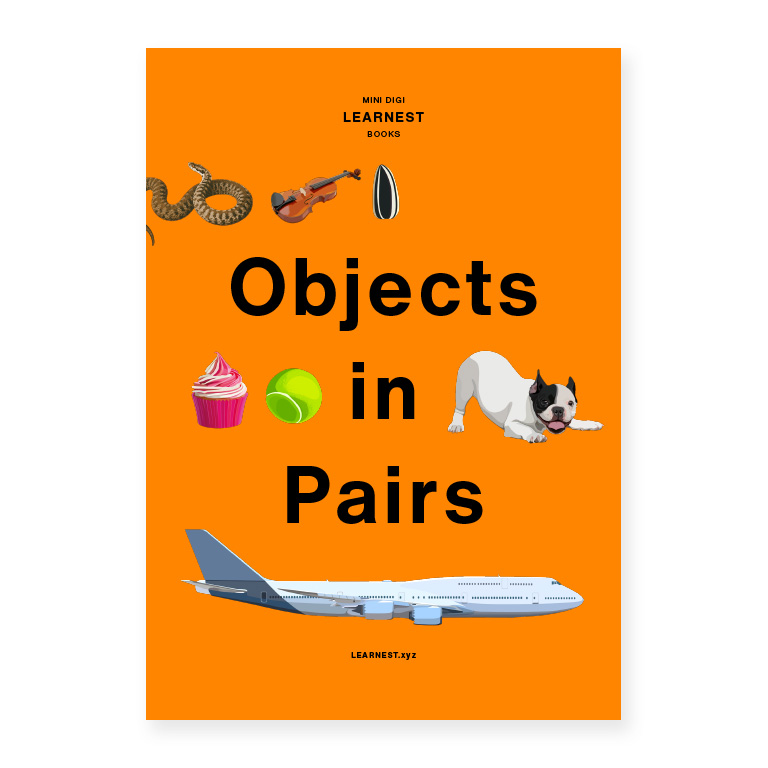 Pre-School – Objects in Pairs by LEARNEST.xyz