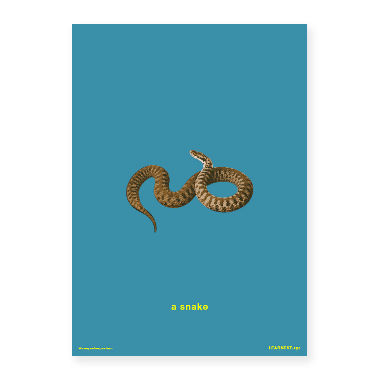 Pre-School Objects in Pairs – A snake