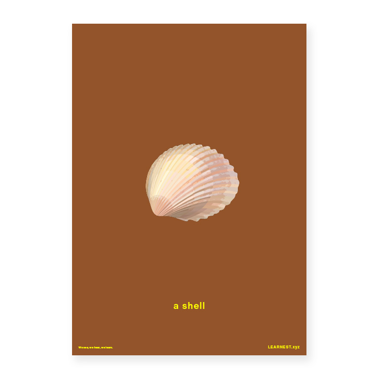 Pre-School Objects in Pairs – A shell