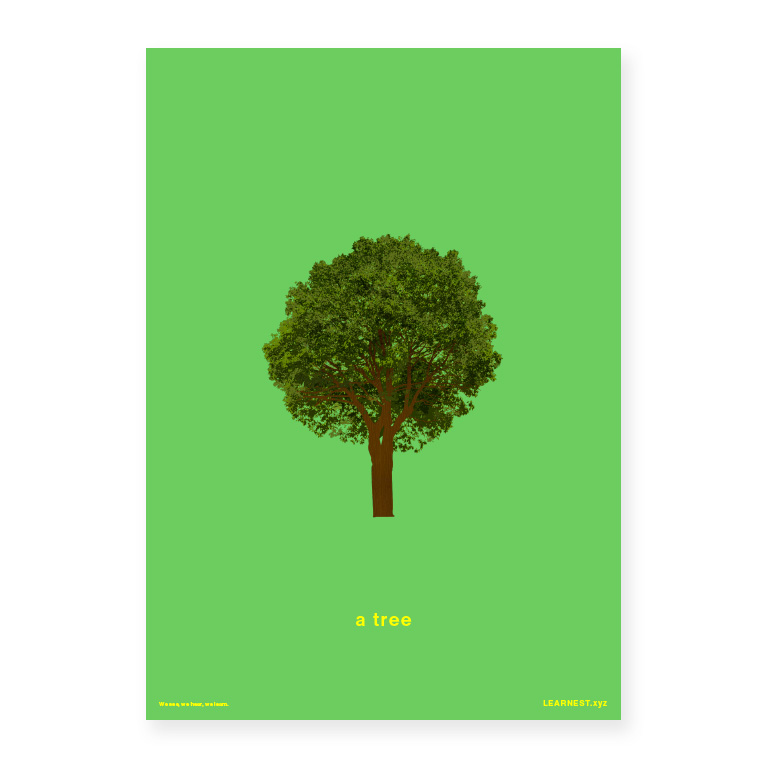 Pre-School Names of Objects – A tree