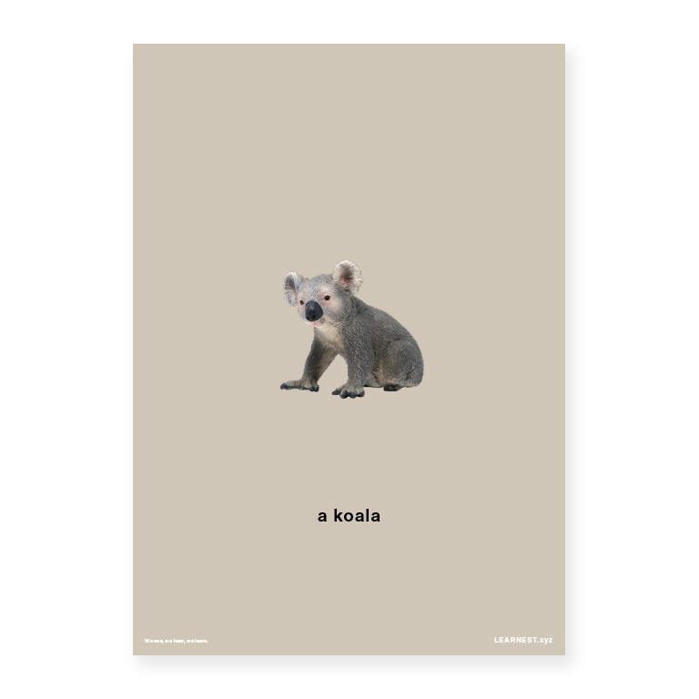 Pre-School Names of Animals – A koala