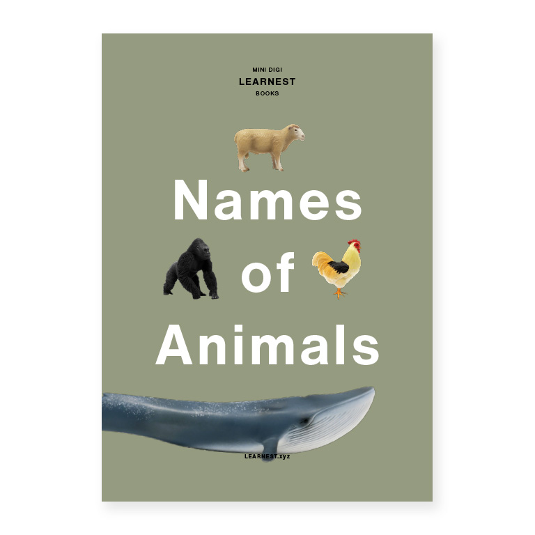 Pre-School – Names of Animals by LEARNEST.xyz