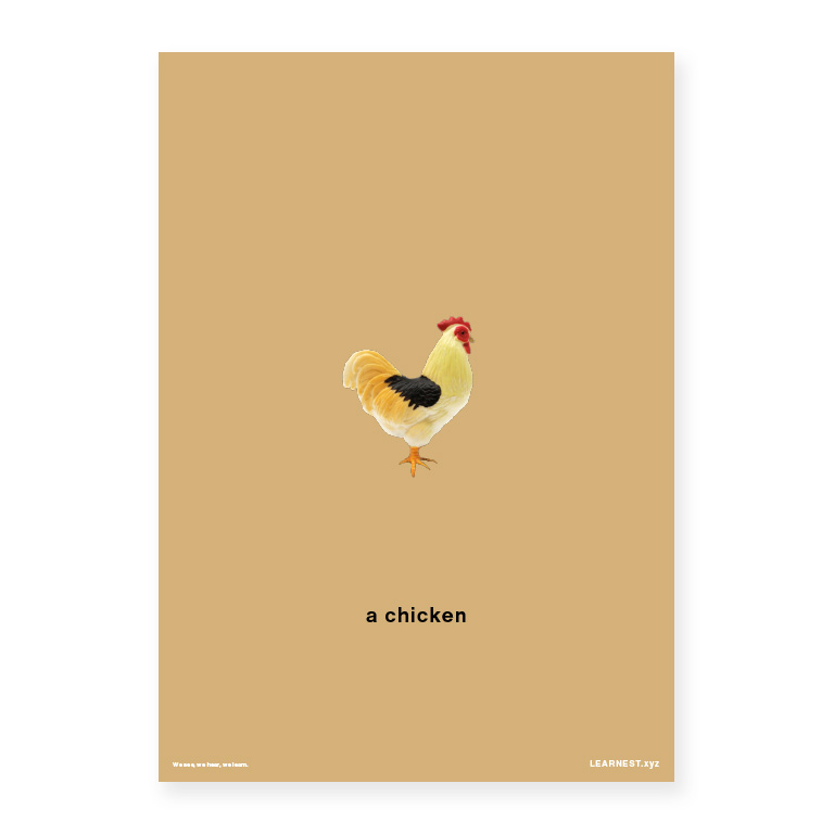 Pre-School Names of Animals – A chicken