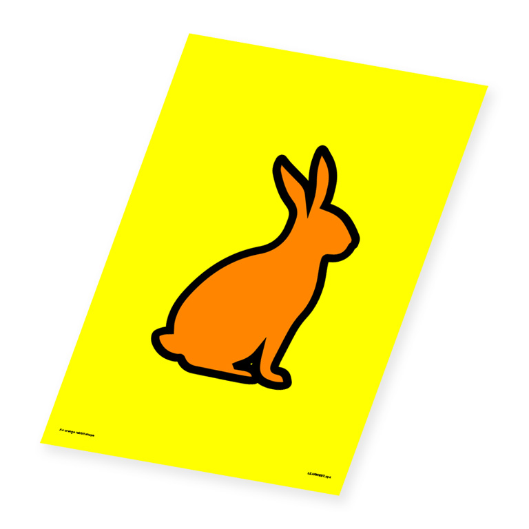 Wall Art – An Orange Rabbit Shape