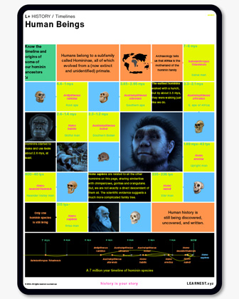 Wider curriculum lesson planning